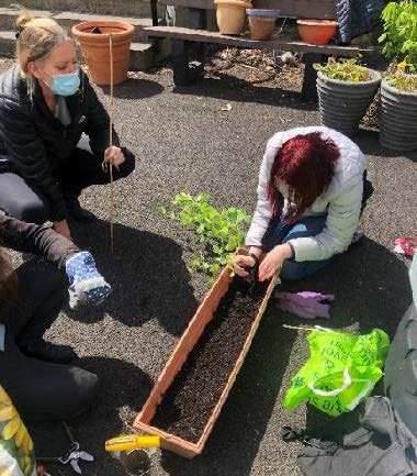 Sensory Garden