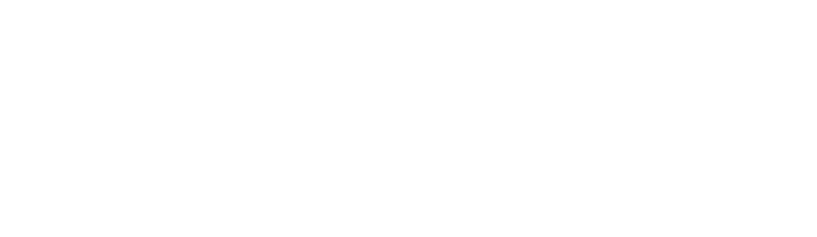 North East MSA White Logo