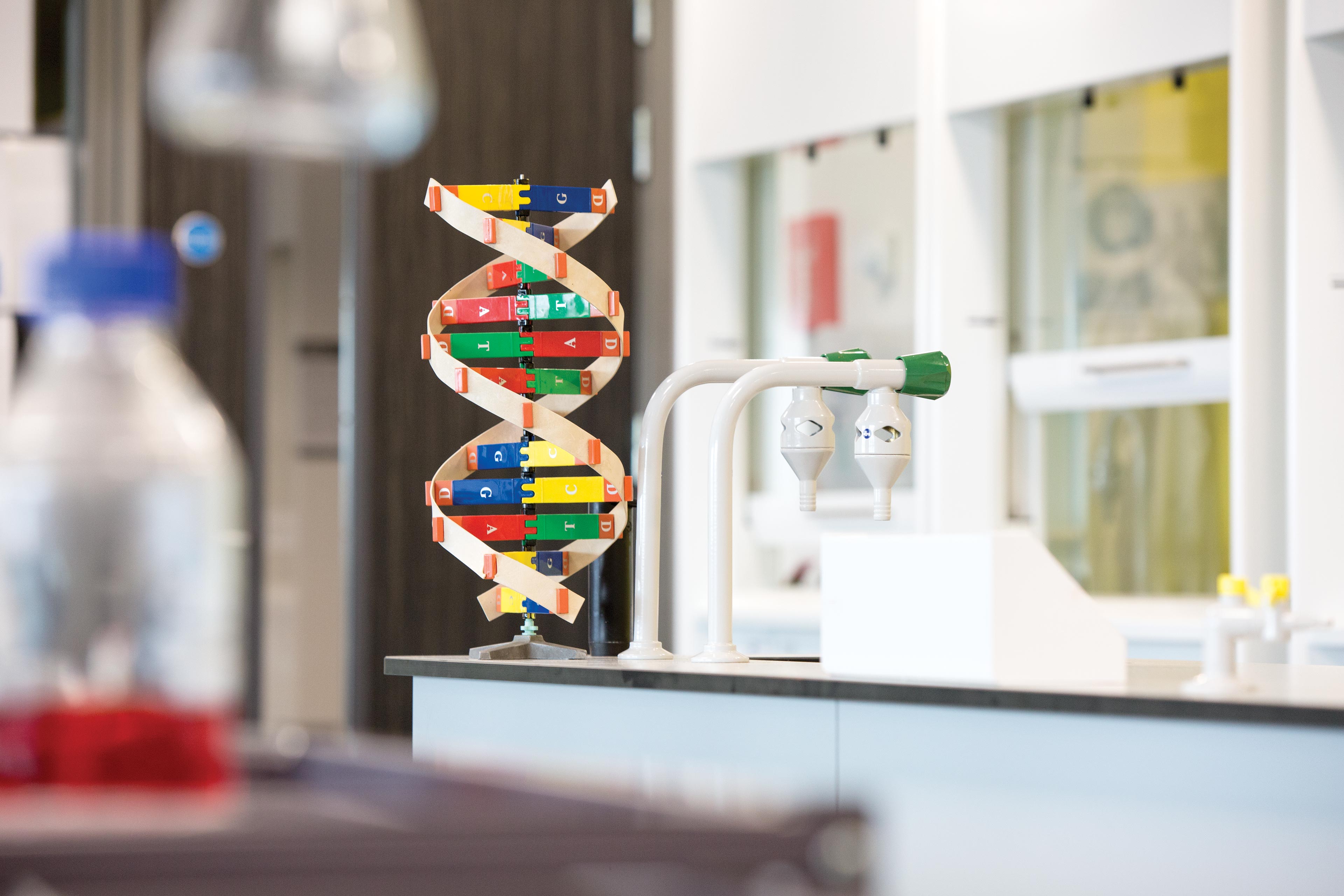 Newcastle College Science 10