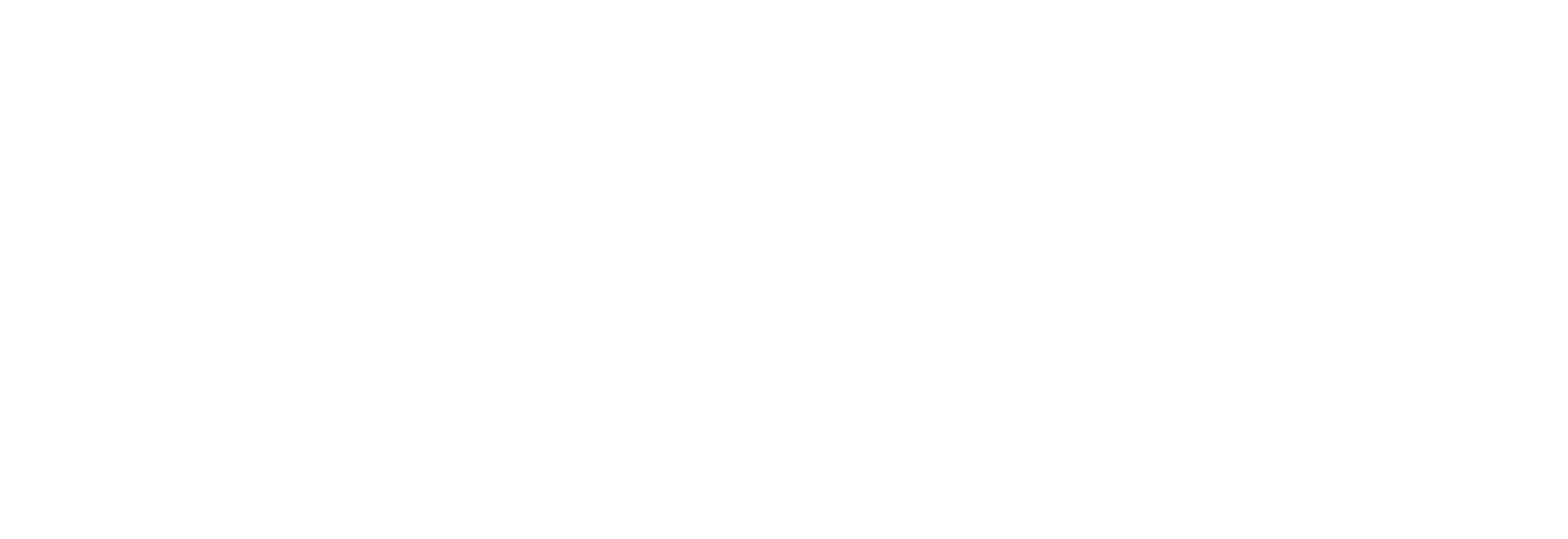 Experiencenee Partner Logo WHITE Rbg